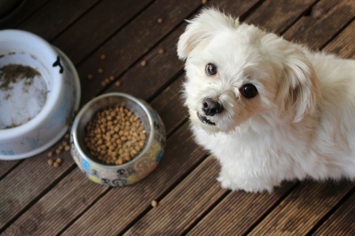 Pet Foods